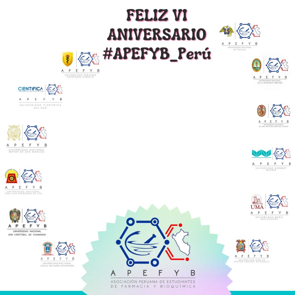 Create your personalized DP for APEFYB, Perú - GetDP